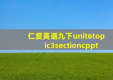 仁爱英语九下unit6topic3sectioncppt