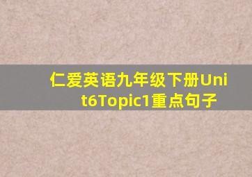 仁爱英语九年级下册Unit6Topic1重点句子