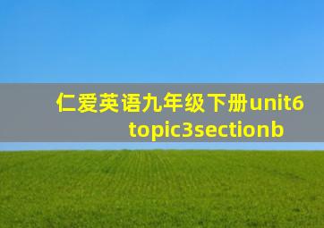 仁爱英语九年级下册unit6topic3sectionb