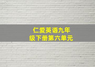 仁爱英语九年级下册第六单元