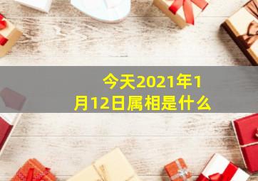 今天2021年1月12日属相是什么