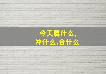 今天属什么,冲什么,合什么