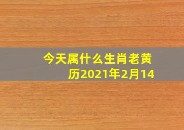 今天属什么生肖老黄历2021年2月14