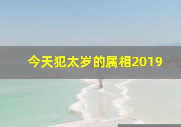 今天犯太岁的属相2019