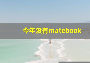 今年没有matebook