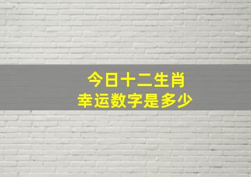 今日十二生肖幸运数字是多少