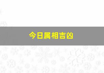 今日属相吉凶