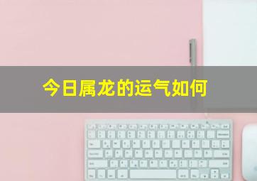 今日属龙的运气如何