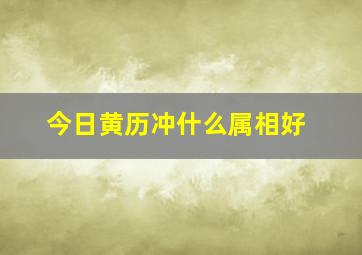 今日黄历冲什么属相好