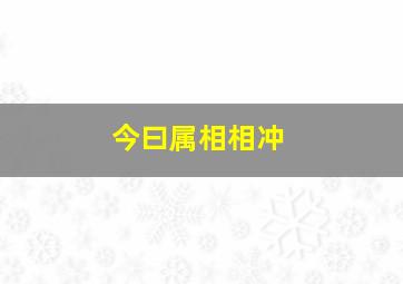 今曰属相相冲