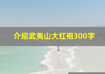 介绍武夷山大红袍300字