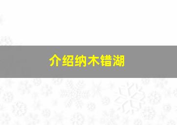 介绍纳木错湖