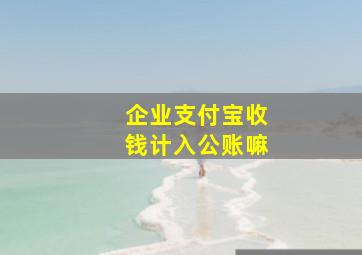 企业支付宝收钱计入公账嘛