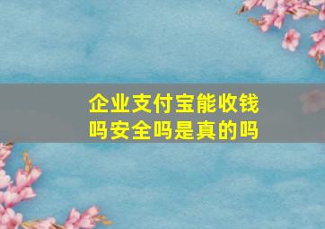 企业支付宝能收钱吗安全吗是真的吗