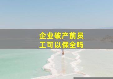 企业破产前员工可以保全吗