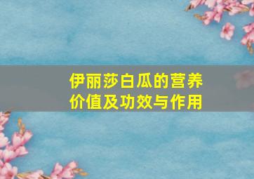 伊丽莎白瓜的营养价值及功效与作用