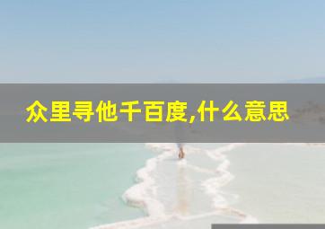 众里寻他千百度,什么意思