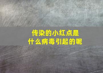 传染的小红点是什么病毒引起的呢