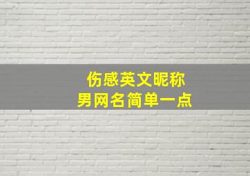 伤感英文昵称男网名简单一点