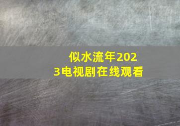 似水流年2023电视剧在线观看