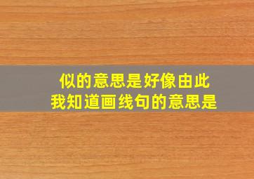 似的意思是好像由此我知道画线句的意思是