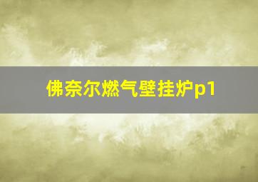 佛奈尔燃气壁挂炉p1