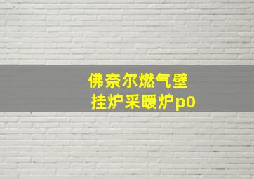 佛奈尔燃气壁挂炉采暖炉p0