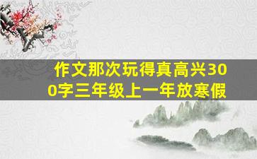 作文那次玩得真高兴300字三年级上一年放寒假