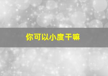 你可以小度干嘛