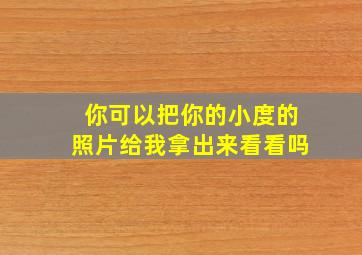 你可以把你的小度的照片给我拿出来看看吗