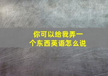 你可以给我弄一个东西英语怎么说