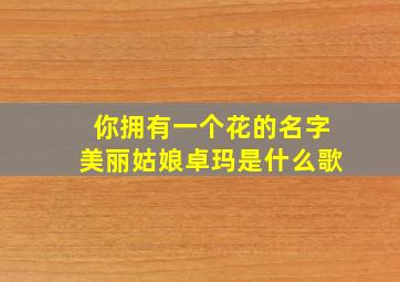 你拥有一个花的名字美丽姑娘卓玛是什么歌