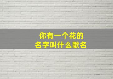 你有一个花的名字叫什么歌名