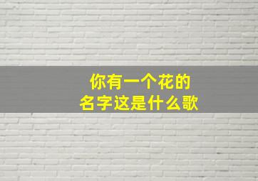 你有一个花的名字这是什么歌