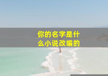 你的名字是什么小说改编的