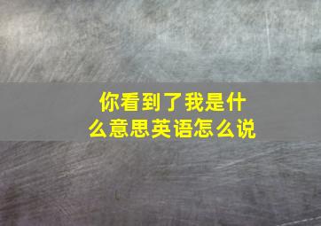 你看到了我是什么意思英语怎么说