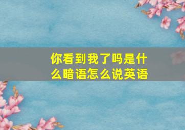 你看到我了吗是什么暗语怎么说英语