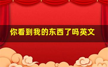 你看到我的东西了吗英文