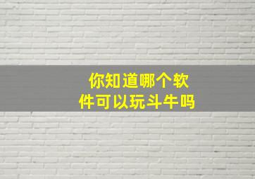 你知道哪个软件可以玩斗牛吗