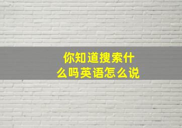 你知道搜索什么吗英语怎么说