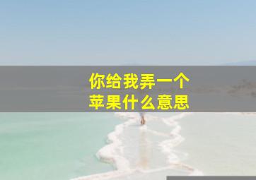 你给我弄一个苹果什么意思