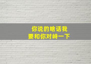 你说的啥话我要和你对峙一下