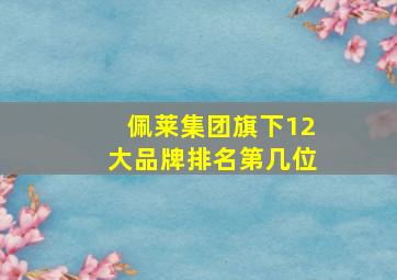 佩莱集团旗下12大品牌排名第几位