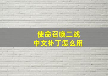 使命召唤二战中文补丁怎么用