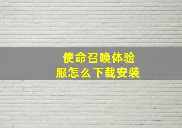 使命召唤体验服怎么下载安装