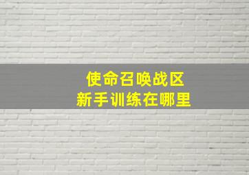 使命召唤战区新手训练在哪里