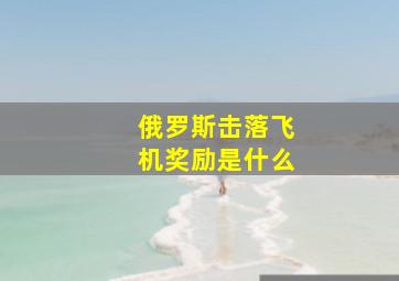 俄罗斯击落飞机奖励是什么