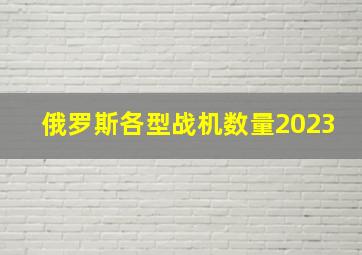 俄罗斯各型战机数量2023