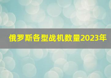 俄罗斯各型战机数量2023年