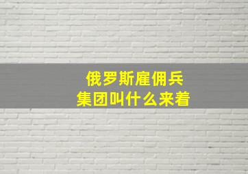 俄罗斯雇佣兵集团叫什么来着